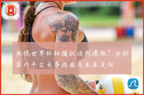 央视世界杯转播权谈判遇阻？分析国内平台竞争格局与未来走向