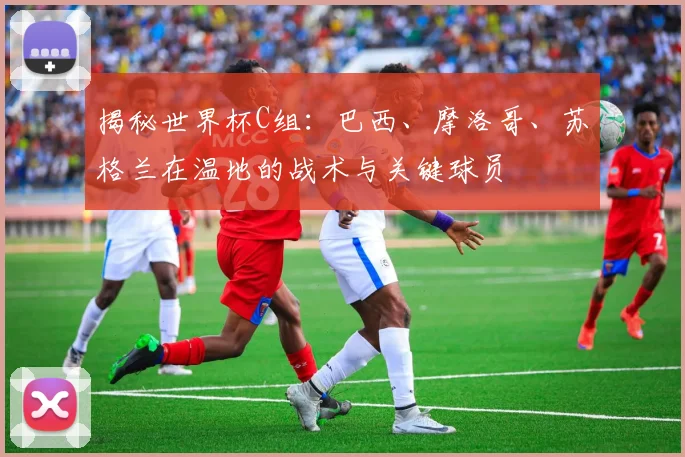 揭秘世界杯C组:巴西、摩洛哥、苏格兰在温地的战术与关键球员